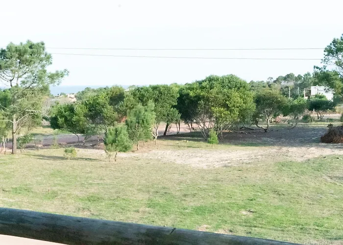 Cabana Petit