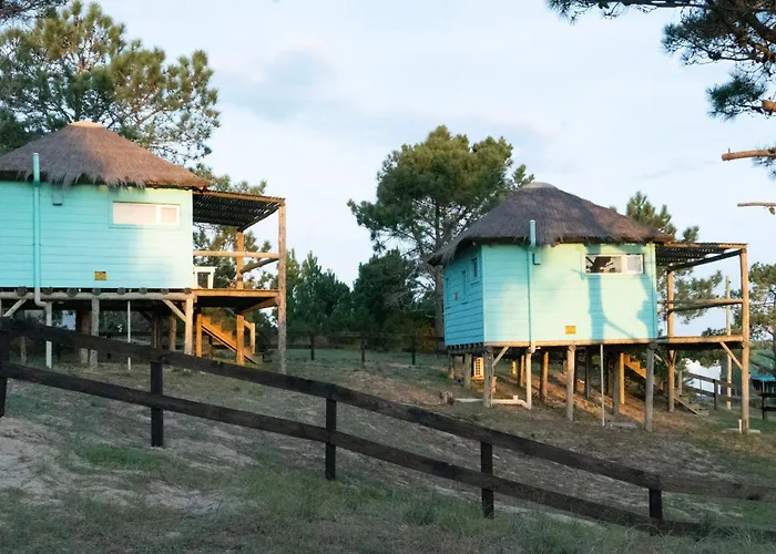 Cabana Petit